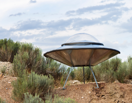 1979: UFO in Woods Near Livingston