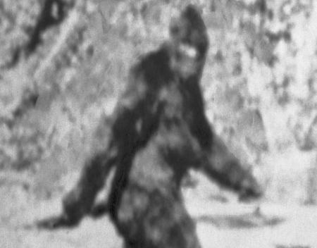 1987: Did Bigfoot Kidnap a Teenage Girl?