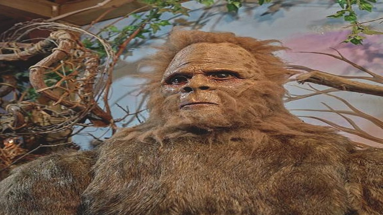 Are Bigfoot Creatures Magical Guides of the Forest?