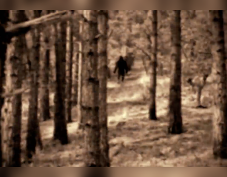Communicating How has bigfoot communication been researched?