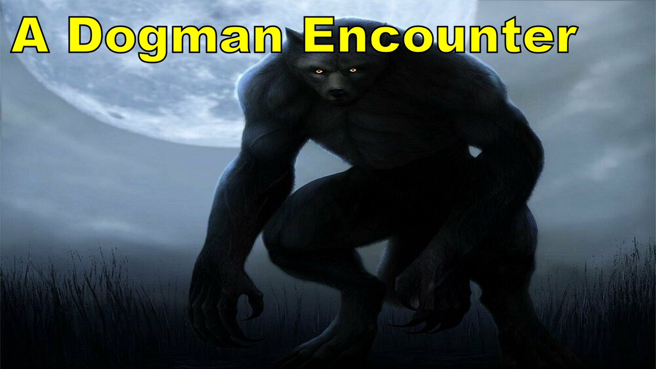 Echoes in the Pines: A Dogman Encounter