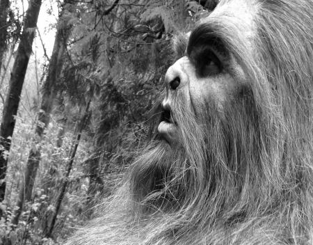 Historic Bigfoot Encounters Washington Edition