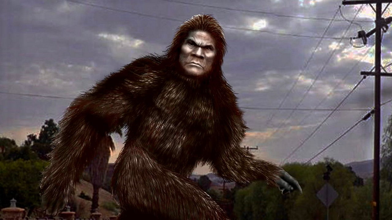 The Infighting and Bashing in the Big Foot Community is Beyond Lame