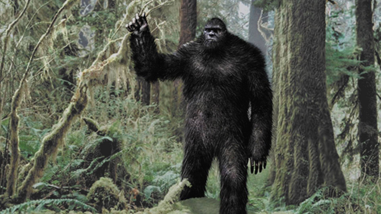 Some Theories on Why Sasquatch Are Hard to Catch on Trail Cameras